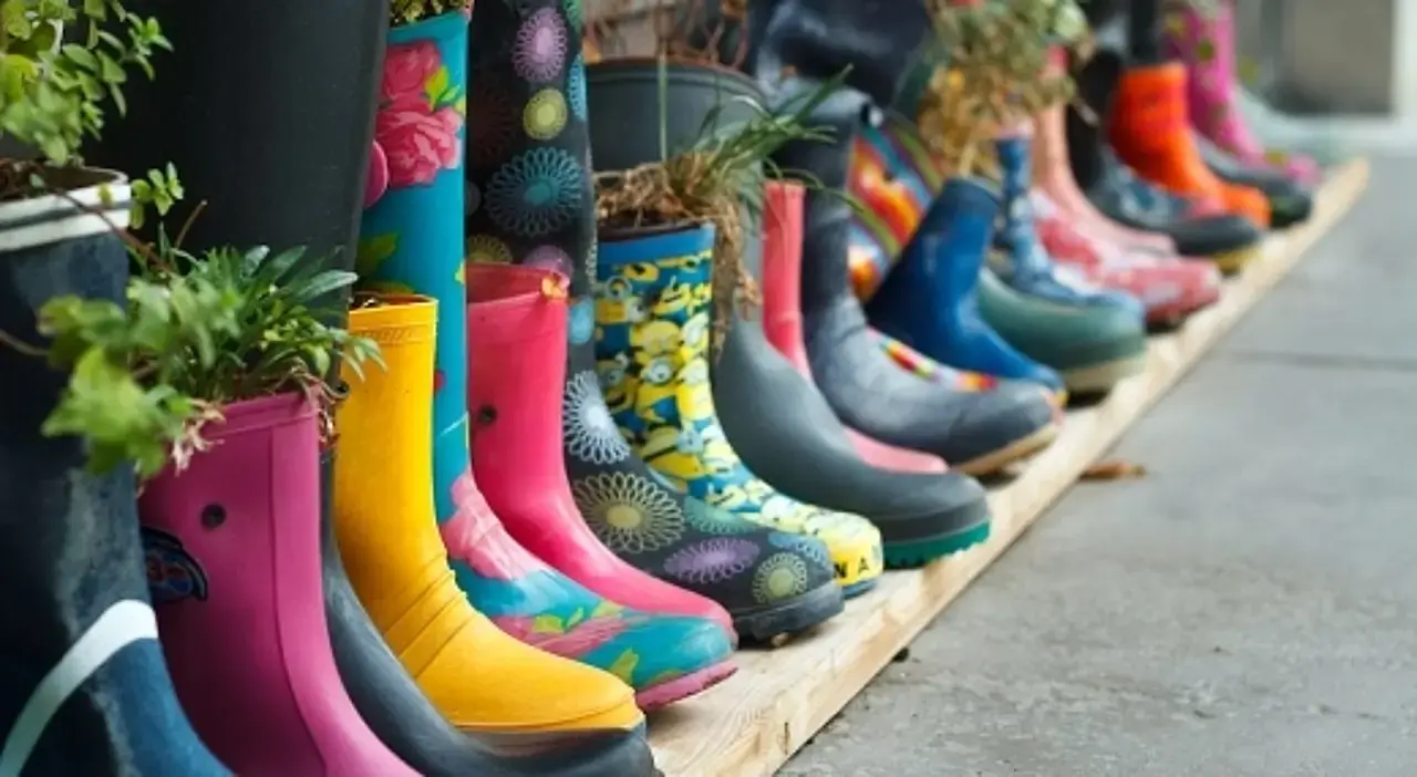 © Ramann1975/Bigstock Bunte Gummistiefel mit unterschiedlichen Pflanzen darin