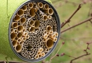 Fertiges Bienenhotel hängt im Baum