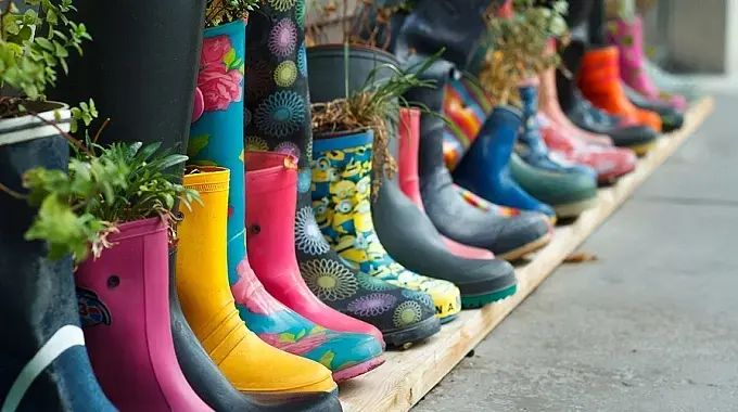© Ramann1975/Bigstock Bunte Gummistiefel mit unterschiedlichen Pflanzen darin