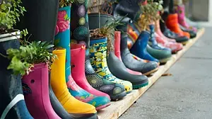 © Ramann1975/Bigstock Bunte Gummistiefel mit unterschiedlichen Pflanzen darin